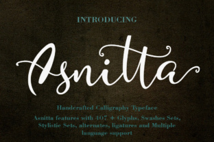 Asnitta: A Playful Script Font for Creative Expression