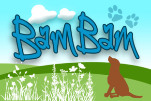 BamBam: The Playful, Handwritten Font That Brings Personality to Design
