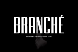Branche: A Modern Twist on Classic Typography