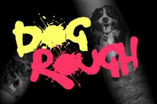 Dog Rough: A Bold Typographic Statement