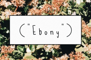 Ebony