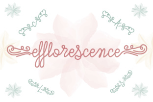 Efflorescence: A Stylish Script Font