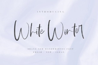 White WInter: A Unique Script Font for Modern Designers